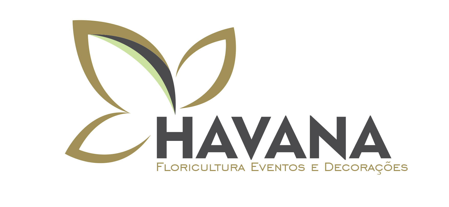 Havana Eventos